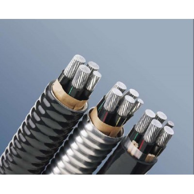 XLPE Insulation Anti Termites PVC sheath Steel Wire Armored Electric Power Cable
